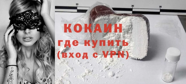 дживик Алексин