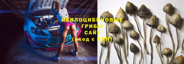 ALPHA PVP Алзамай