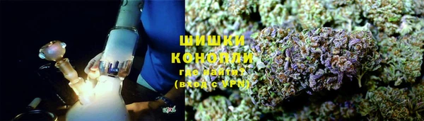 гидра Алексеевка