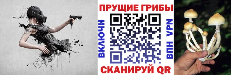 Галлюциногенные грибы прущие грибы  что такое наркотик  Советский 